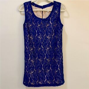 Francesca's Collections Royal Blue Lace Dress
